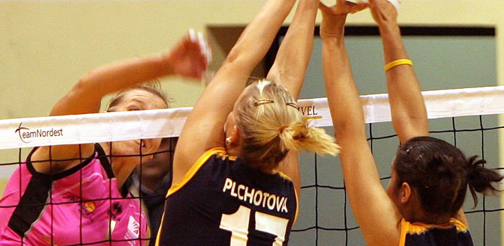 攻击网站在线工具